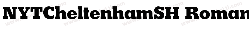 NYTCheltenhamSH Roman字体转换